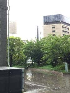 芝濱