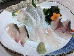 マルタ活魚