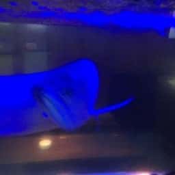 18BAR