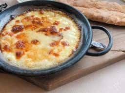 チェロステラート ウィンザー