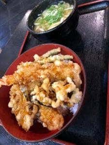 からたちうどん