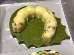 かいこの王国 富岡城町店