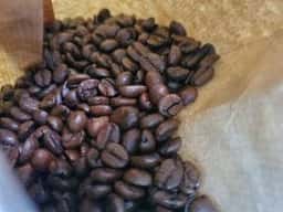 WhiteCoffeeBeans KUMAROMA
