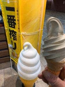 耕一路 府中競馬場店