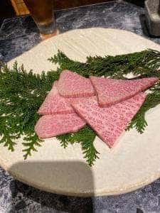 たいが