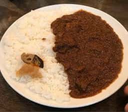ワンダカレー店