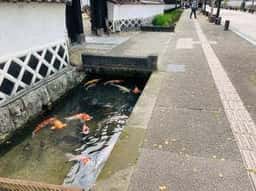 沙羅の木松韻亭