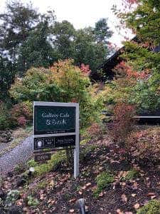 ギャラリーカフェ ならの木