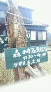 RICO