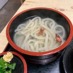 手打ちうどん たぬき