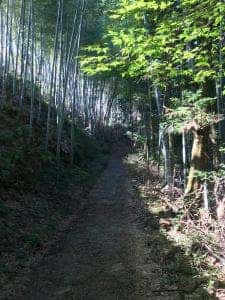 矢立茶屋