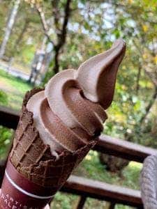 アルチザンパレドオール