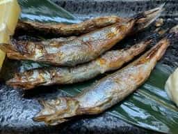 つる家