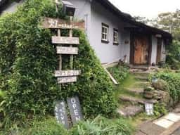 灯-akari-