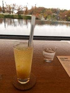 秋田県立美術館ミュージアムラウンジ