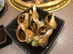 ブルスタオラムー新発寒店