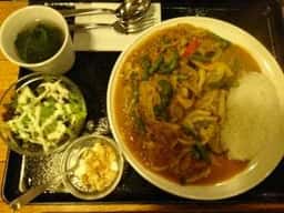 Shizen-kan 自然館