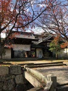 開運そば