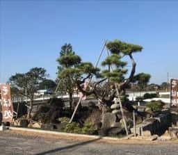 手打そば 五番