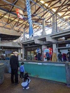 かまぼこ市場 道の駅うしぶか海彩館
