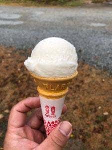 グリーンフィールド西城