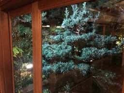 杉の井 穂濤