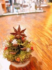 SMALL PINE craftbeer&kitchen