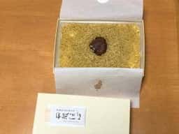 夢の里やながわ 本店