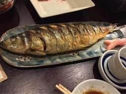 居酒屋菅鮮