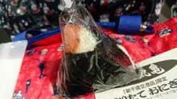 鮭乃丸亀 新千歳空港店