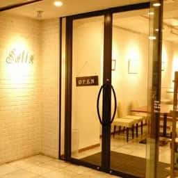 Salix