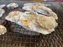 牡蠣焼き 八光