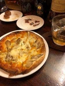 ネコノヒタイ