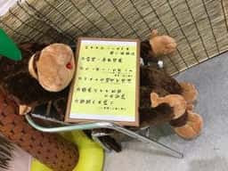 MONKEYBANANA