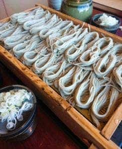 須坂屋そば 新潟空港店