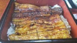 和食処うなぎ 天心