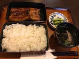小坂鯉店