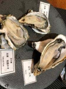 Firenze Sake Oyster & Awa