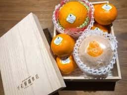 千疋屋総本店 玉川高島屋店