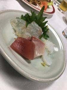 枇杷の樹