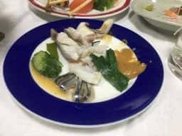 枇杷の樹
