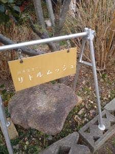 四角家カフェ リトルムッシュ