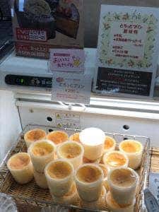 道の駅 ちぢみの里 おぢや