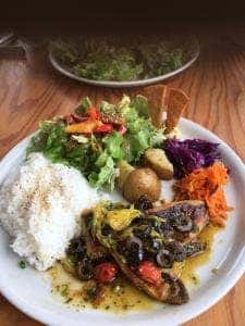 Pokke dish