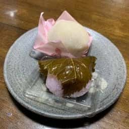 引網香月堂 小杉一条店