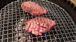 火煇 極