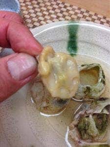 菜のはな