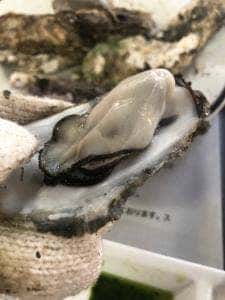 久保田水産