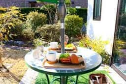 cafe cerisier en fleur