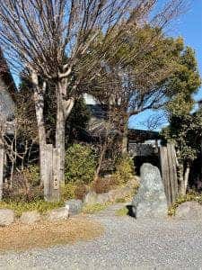 庵菊水